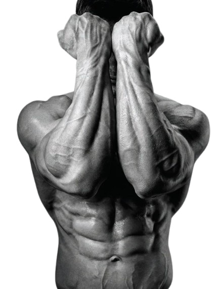 KNOW YOUR MUSCLES